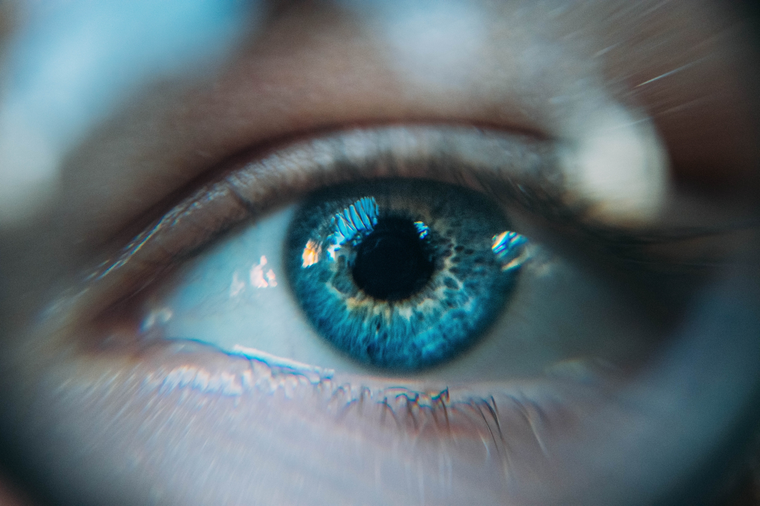 Vision Vision